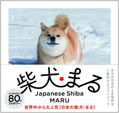 柴犬・まる（Japanese Shiba MARU）  著：小野 慎二郎（♯marutaro）/まるの飼い主  発行：KADOKAWA　メディアファクトリー