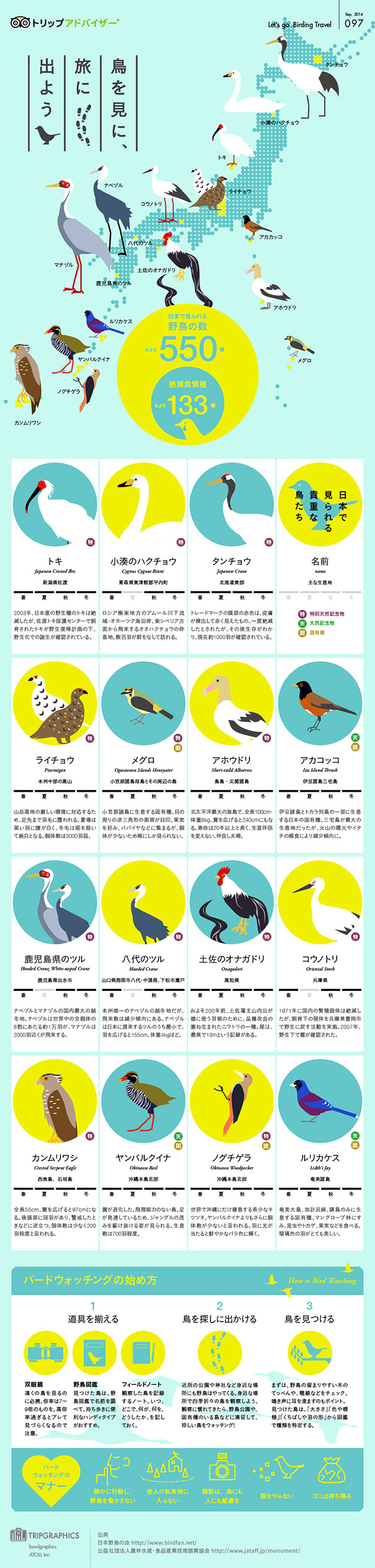 tg_birdwatching_01