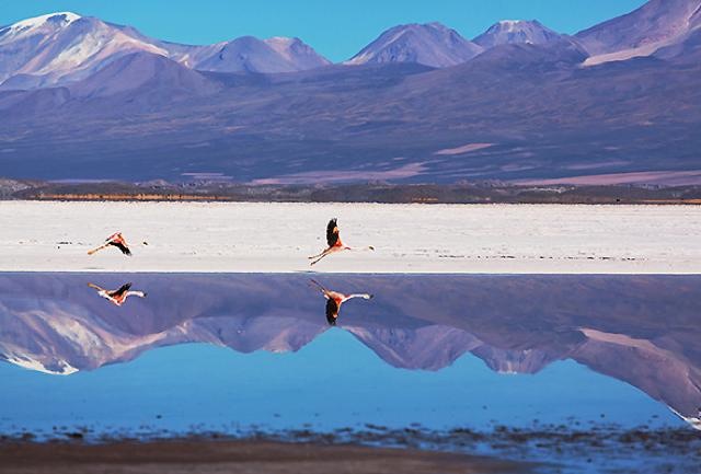 th_Salar_de_Uyuni_05