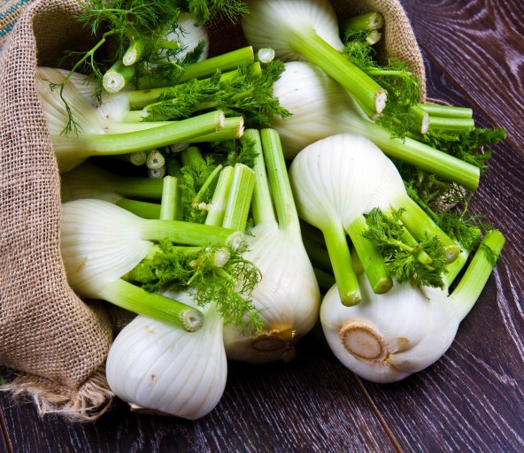 BM_Fresh organic fennel_60042734