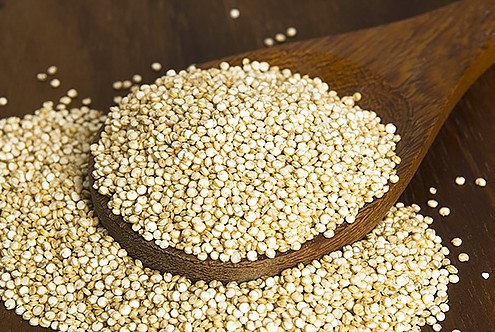 Quinoa_51295416-495x332