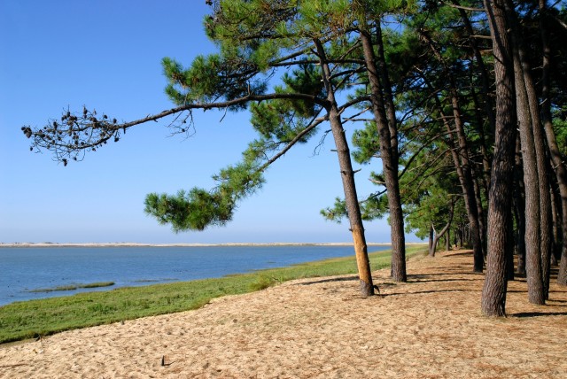 BM_Littoral français de La Coubre en Charente Maritime_21081065