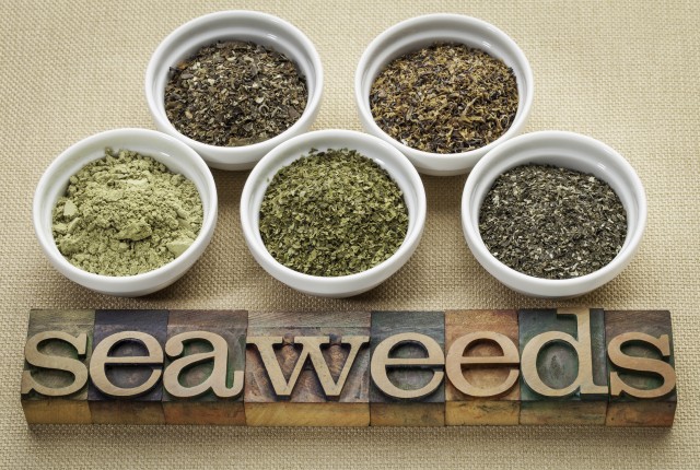 BM_seaweeds - diet supplements_60107416