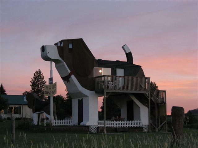 th_dog_hotel_02