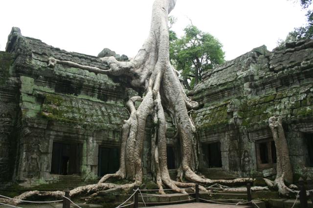 th_ta-prohm