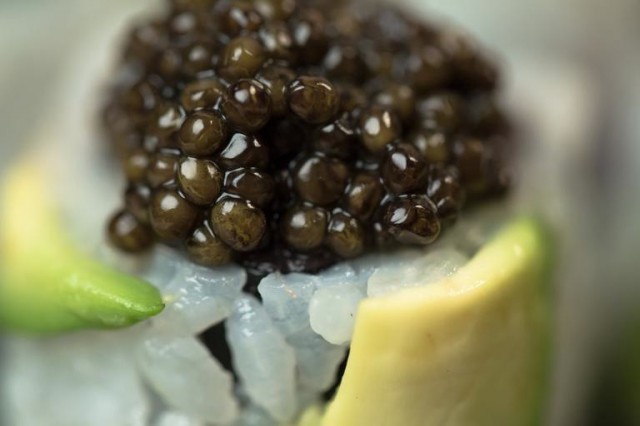 th_Toro Caviar Roll