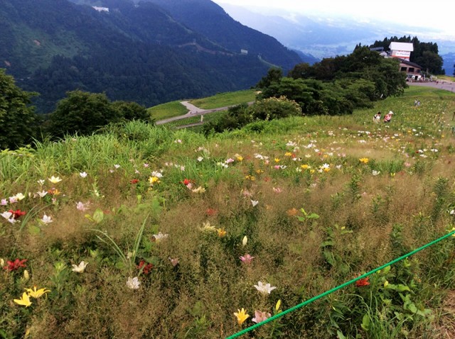 高原3