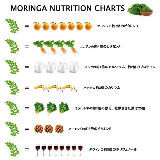 moringa-nutrition-charts