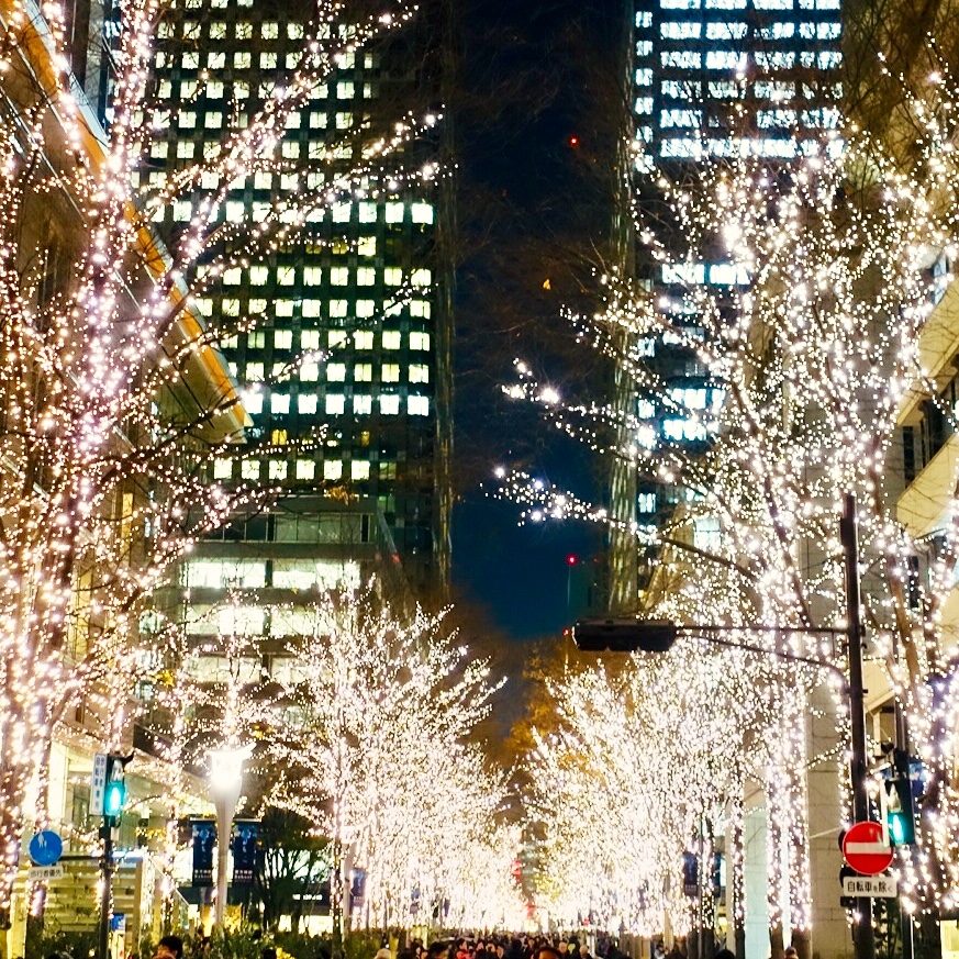 東京駅・丸の内のイルミネーション2017