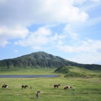 熊本阿蘇の雄大な自然を味わい尽くす旅