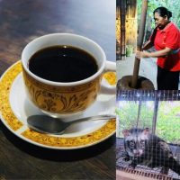 バリ島で味わう世界一高価なコーヒー