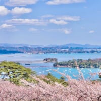 東日本大震災を想う旅