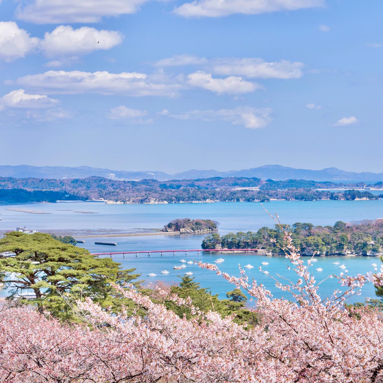 東日本大震災を想う旅