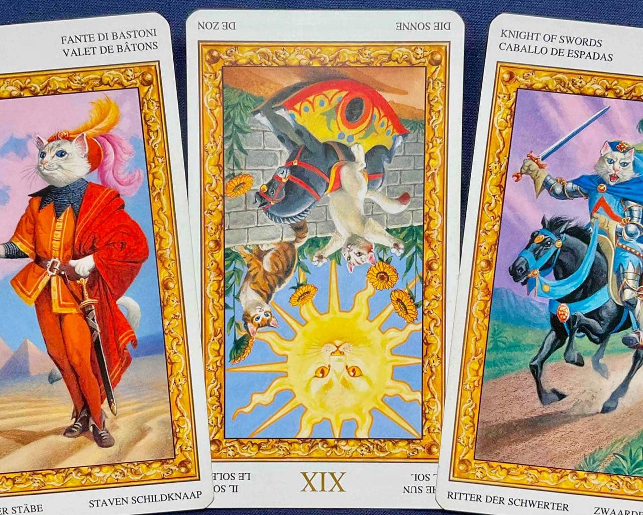 【射手座】2025年11月3日〜11月9日運勢