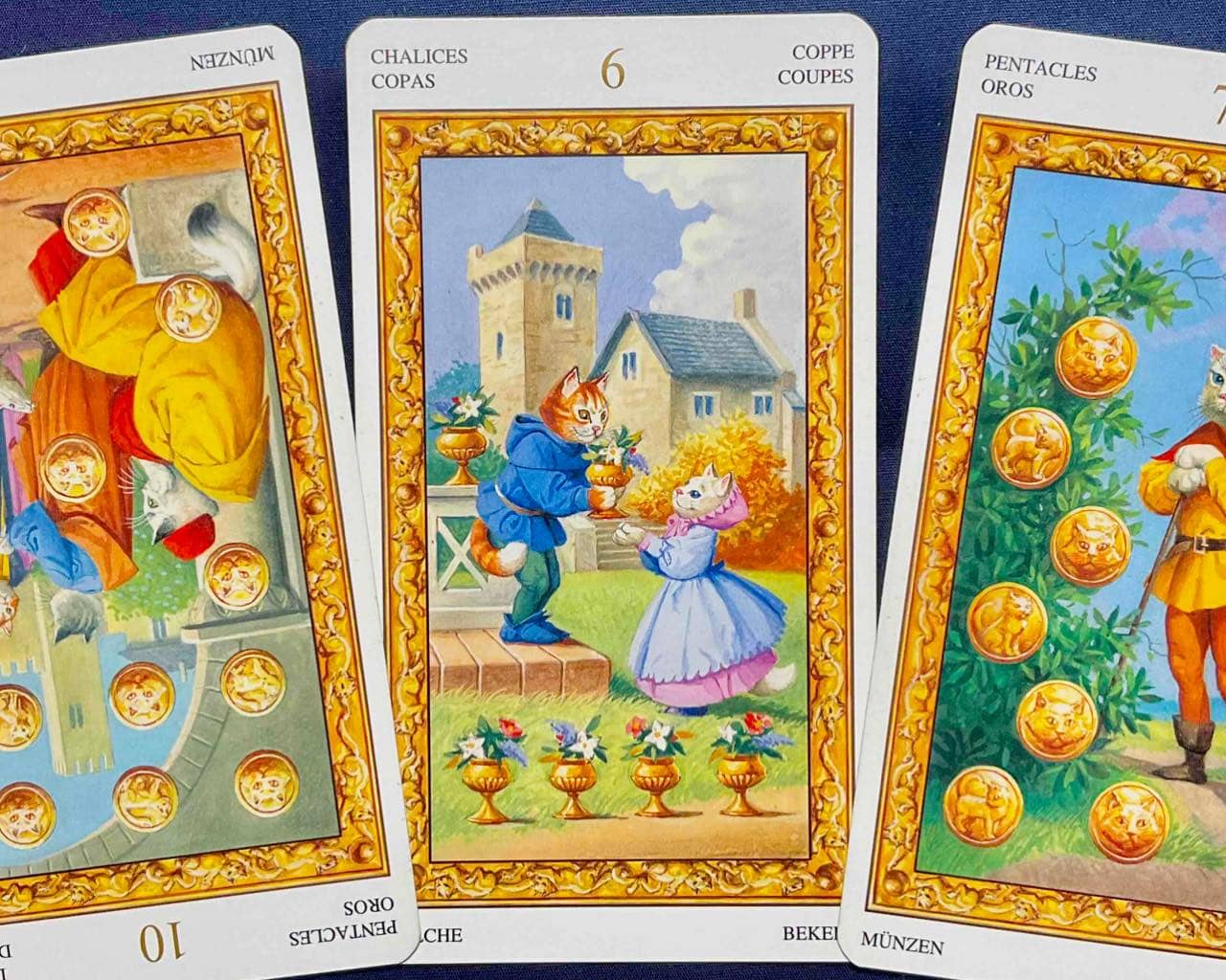 【乙女座】2025年11月3日〜11月9日運勢