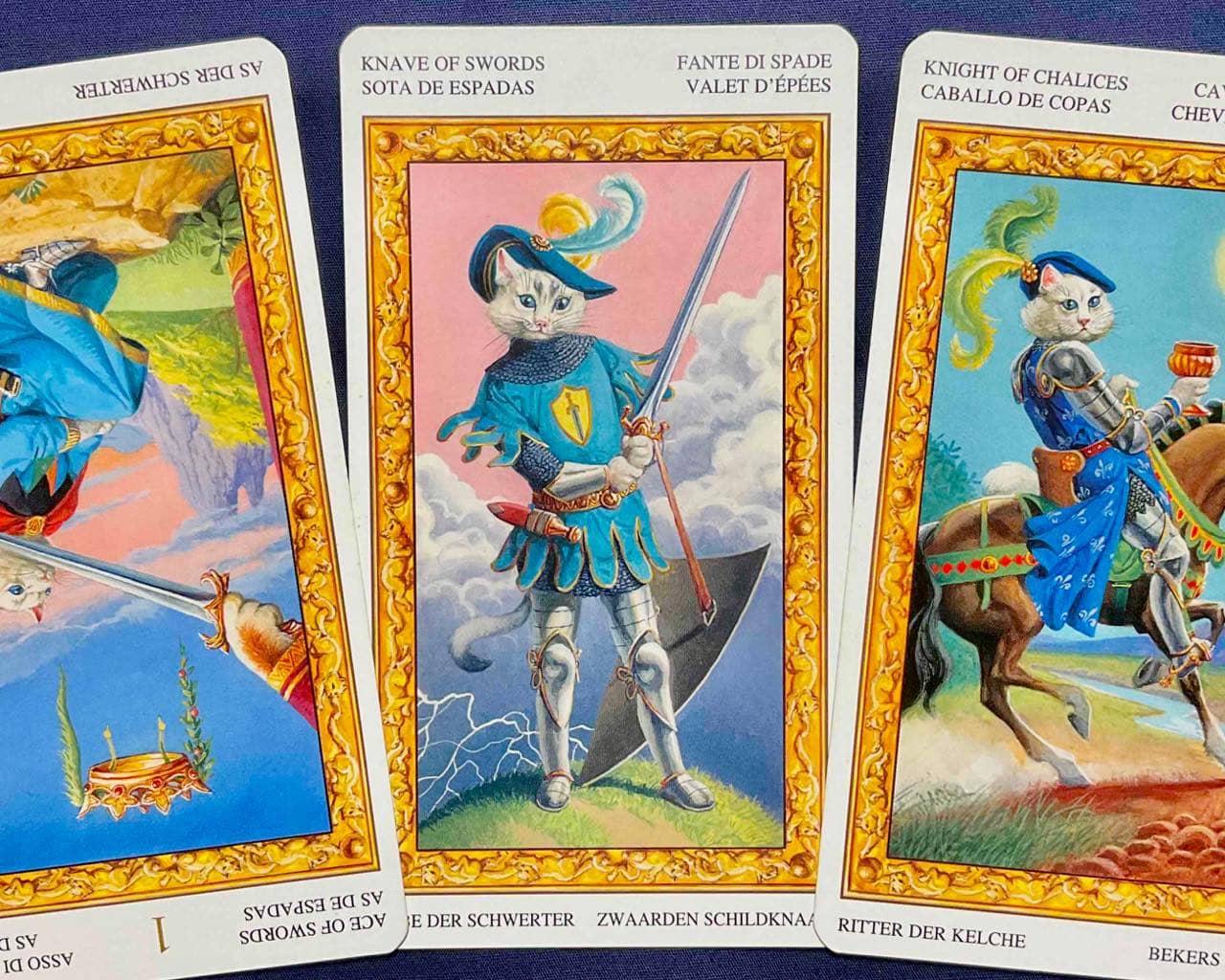 【蠍座】2025年11月3日〜11月9日運勢