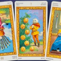 【蟹座】2025年11月3日〜11月9日運勢