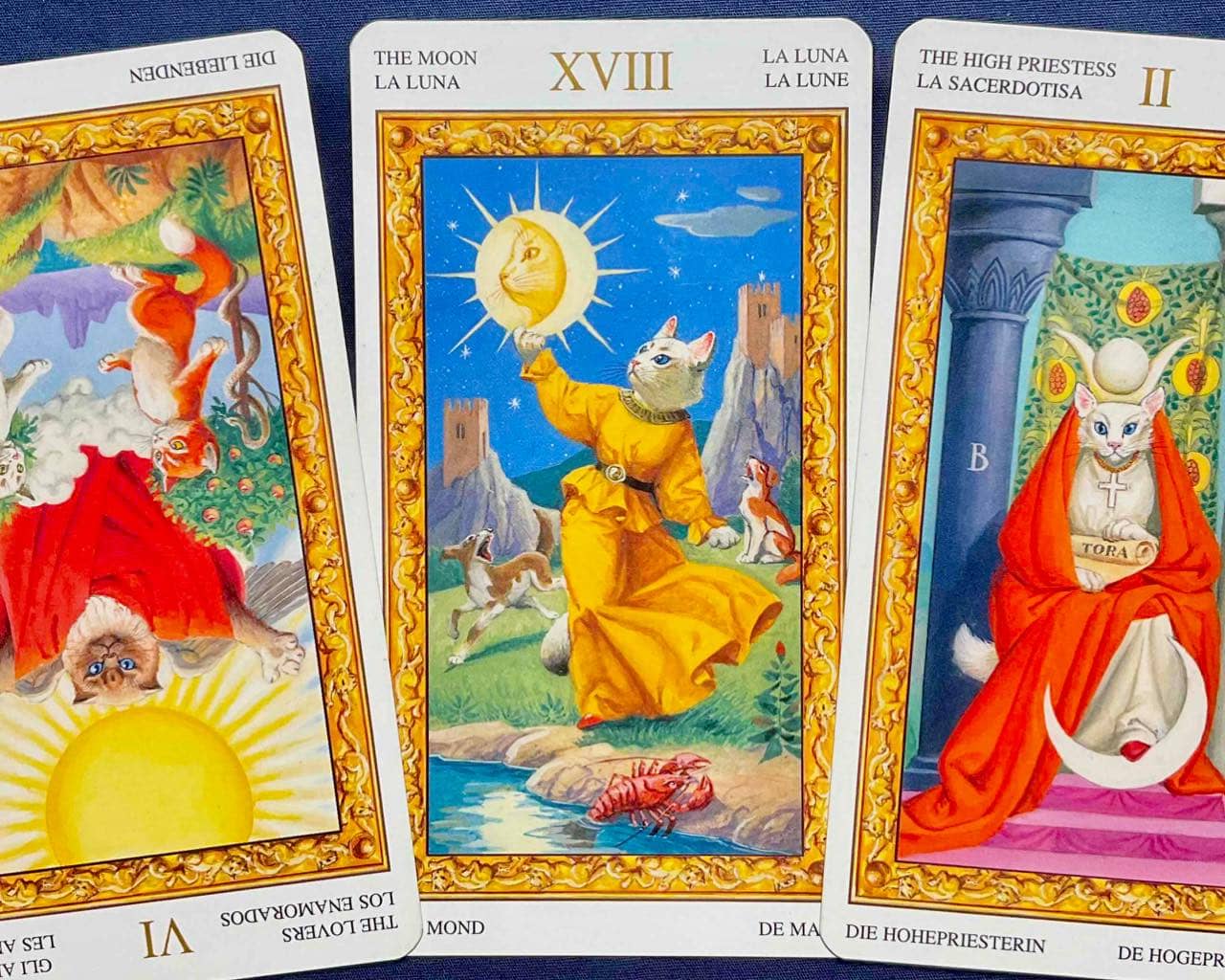 【魚座】2025年11月3日〜11月9日運勢