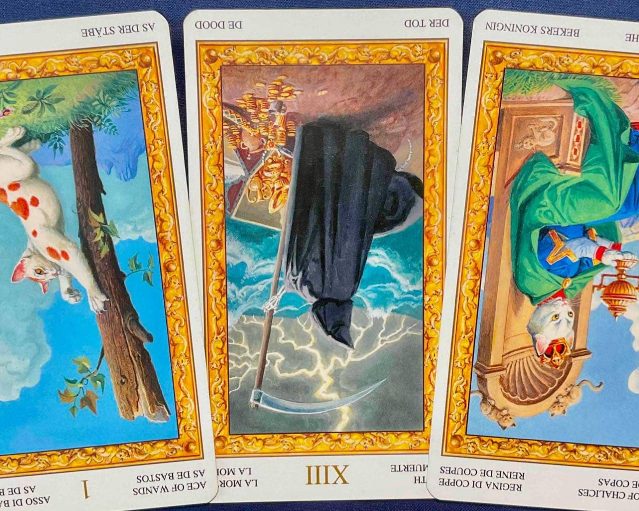 【獅子座】2025年11月10日〜11月16日運勢