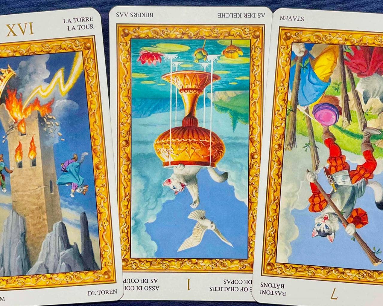 【蠍座】2025年11月17日〜11月23日運勢