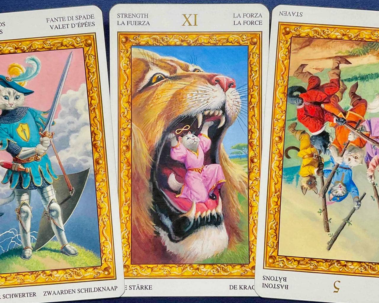 【乙女座】2025年11月17日〜11月23日運勢