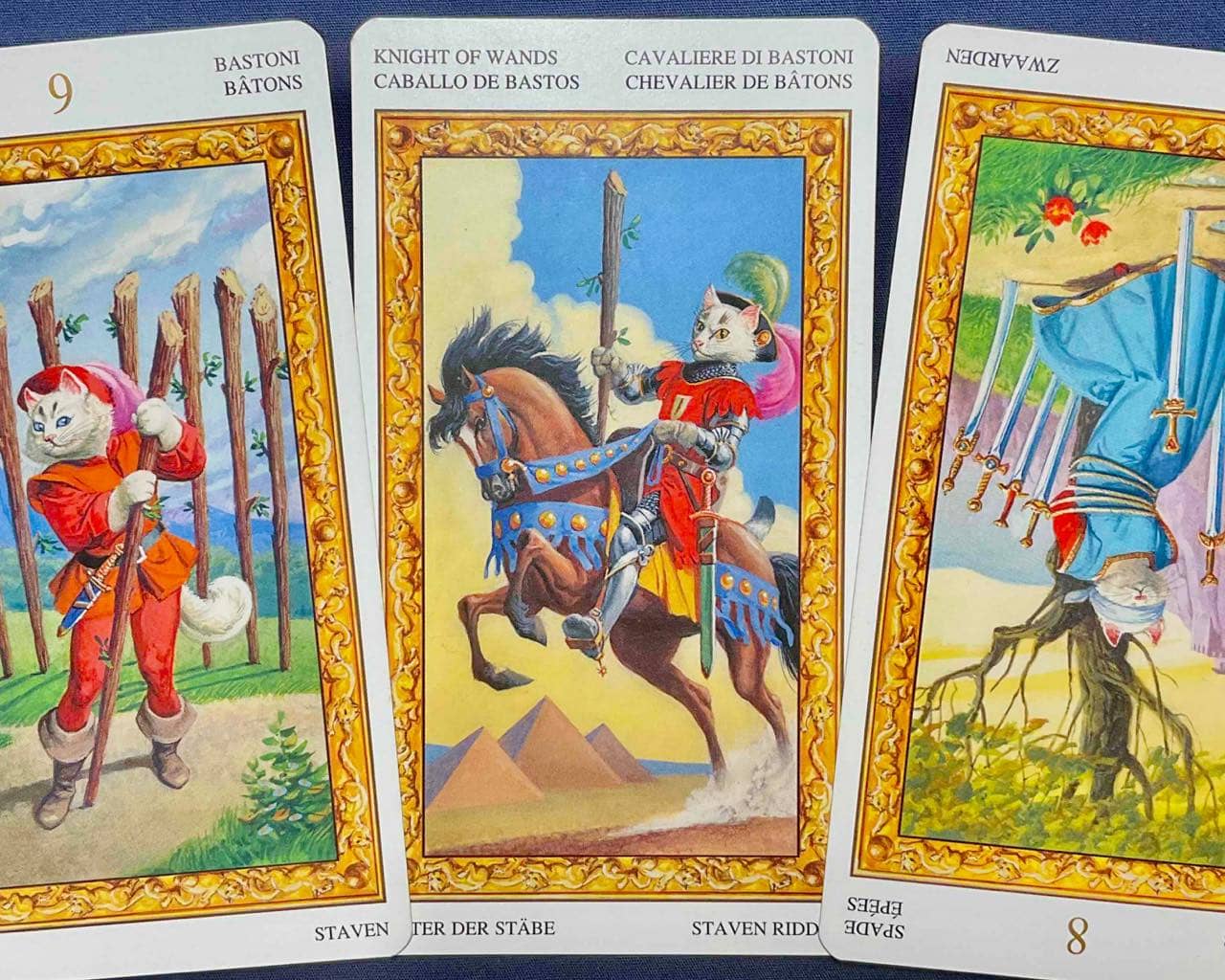 【獅子座】2025年11月24日〜11月30日運勢