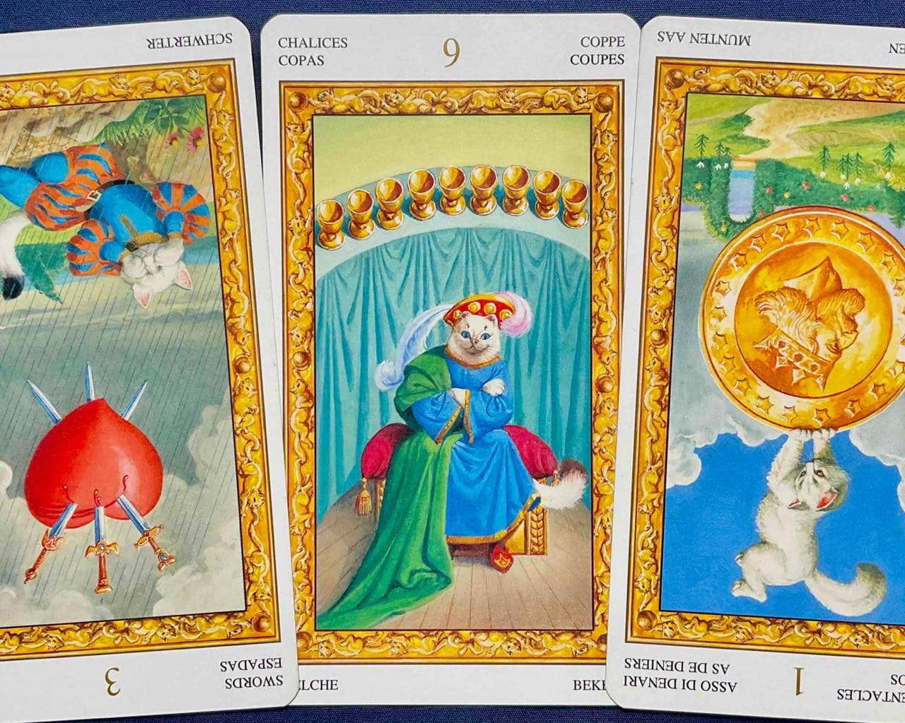 【蟹座】2025年11月17日〜11月23日運勢