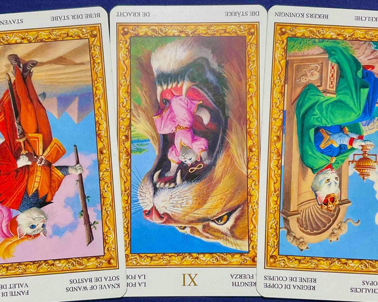 【獅子座】2025年12月1日〜12月7日運勢