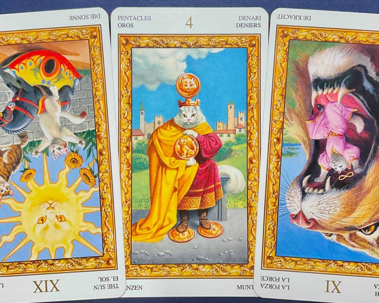 【水瓶座】2025年11月24日〜11月30日運勢