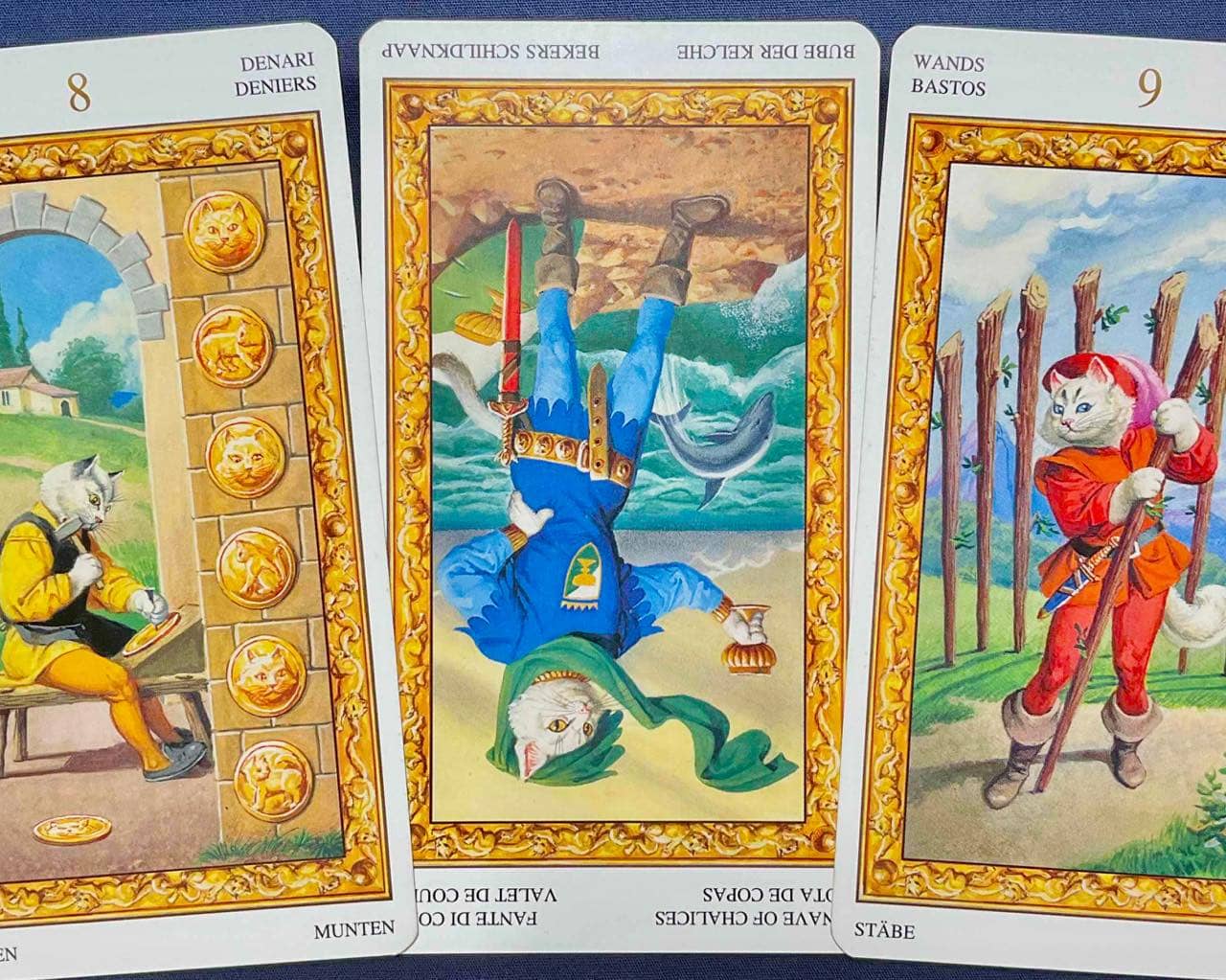 【蟹座】2025年11月24日〜11月30日運勢