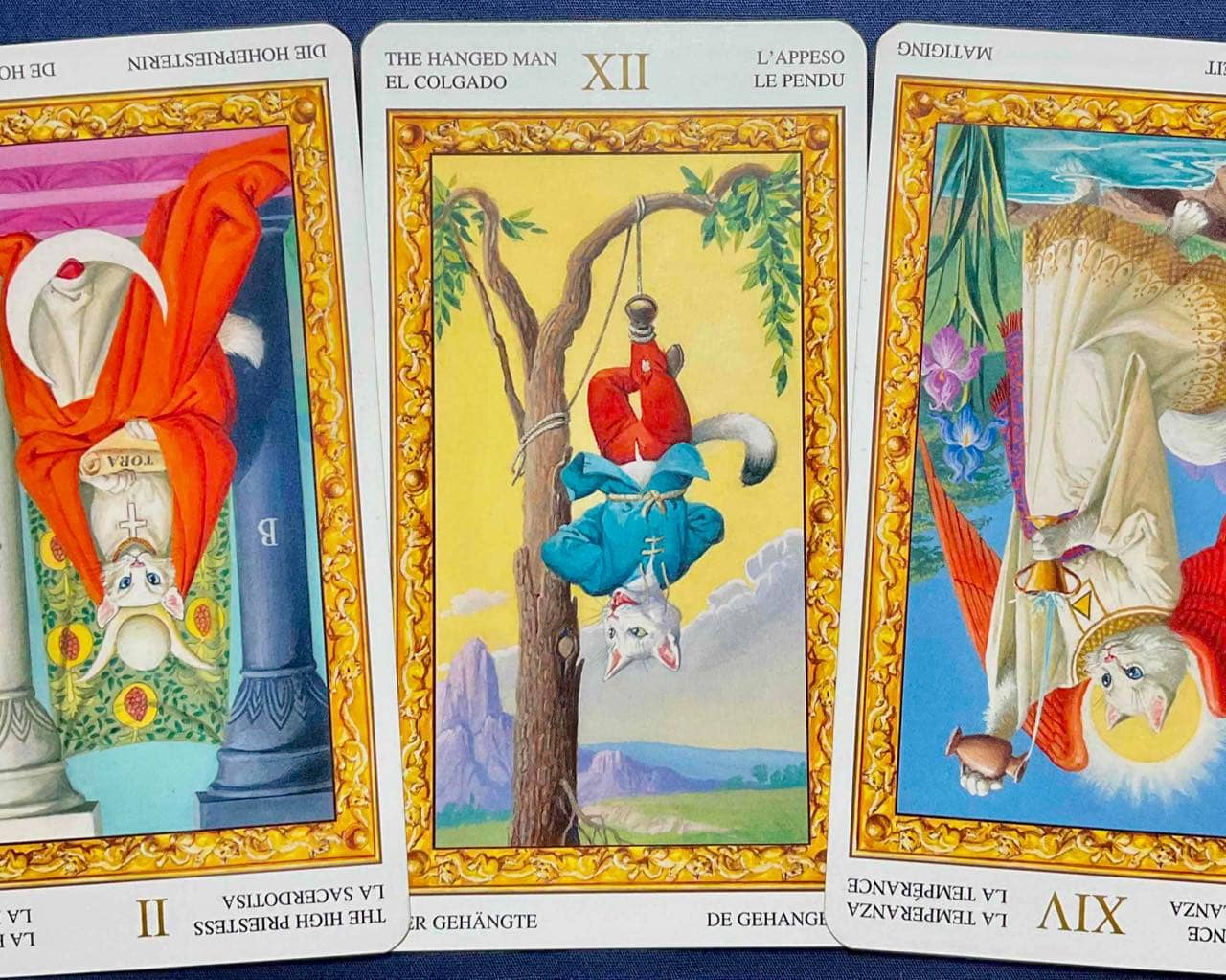 【獅子座】2025年11月17日〜11月23日運勢