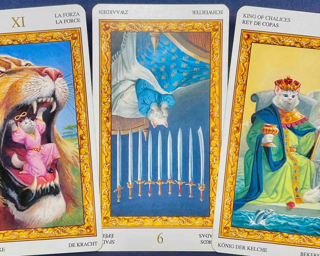 【山羊座】2025年11月24日〜11月30日運勢