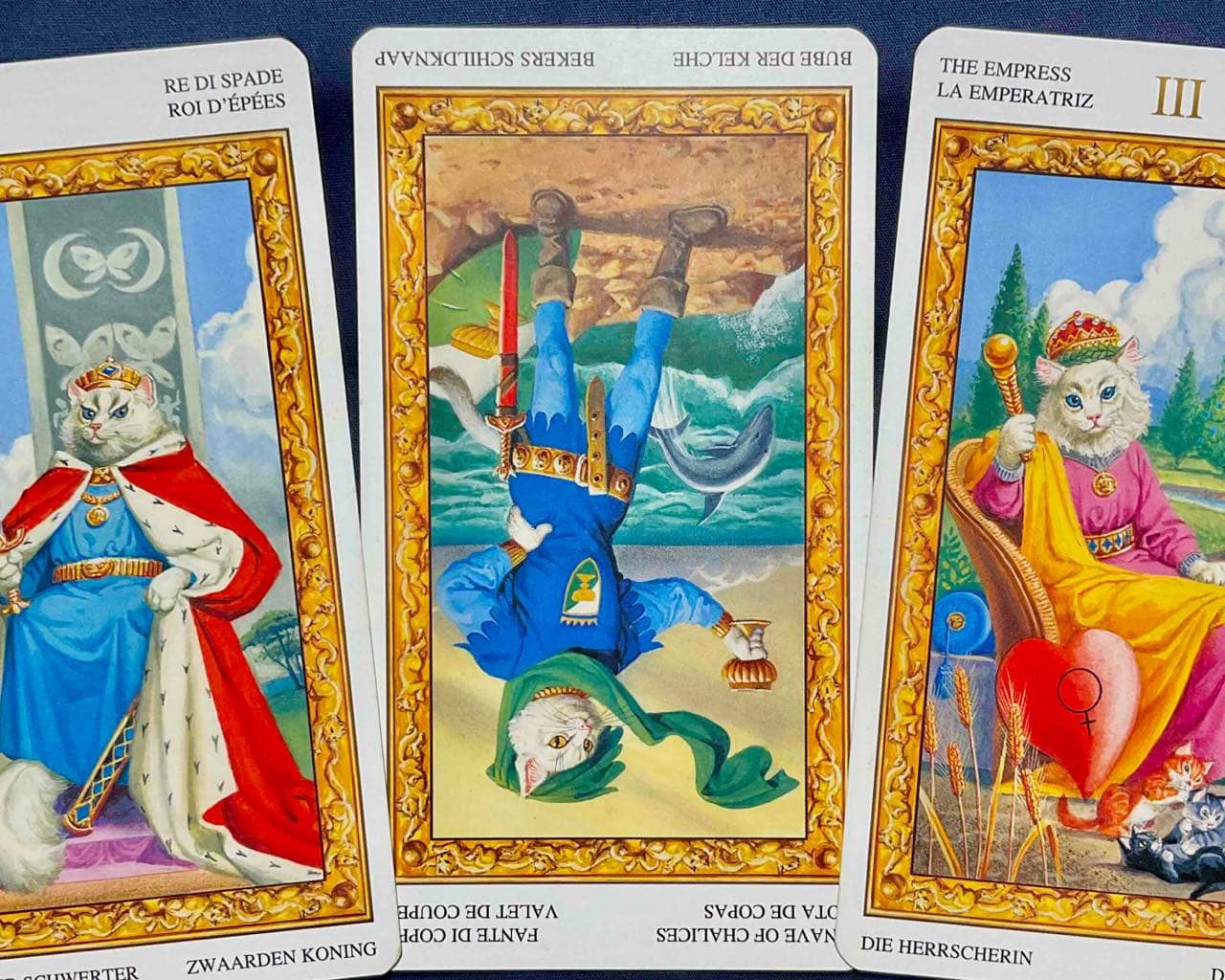 【乙女座】2025年12月29日〜2026年1月4日運勢