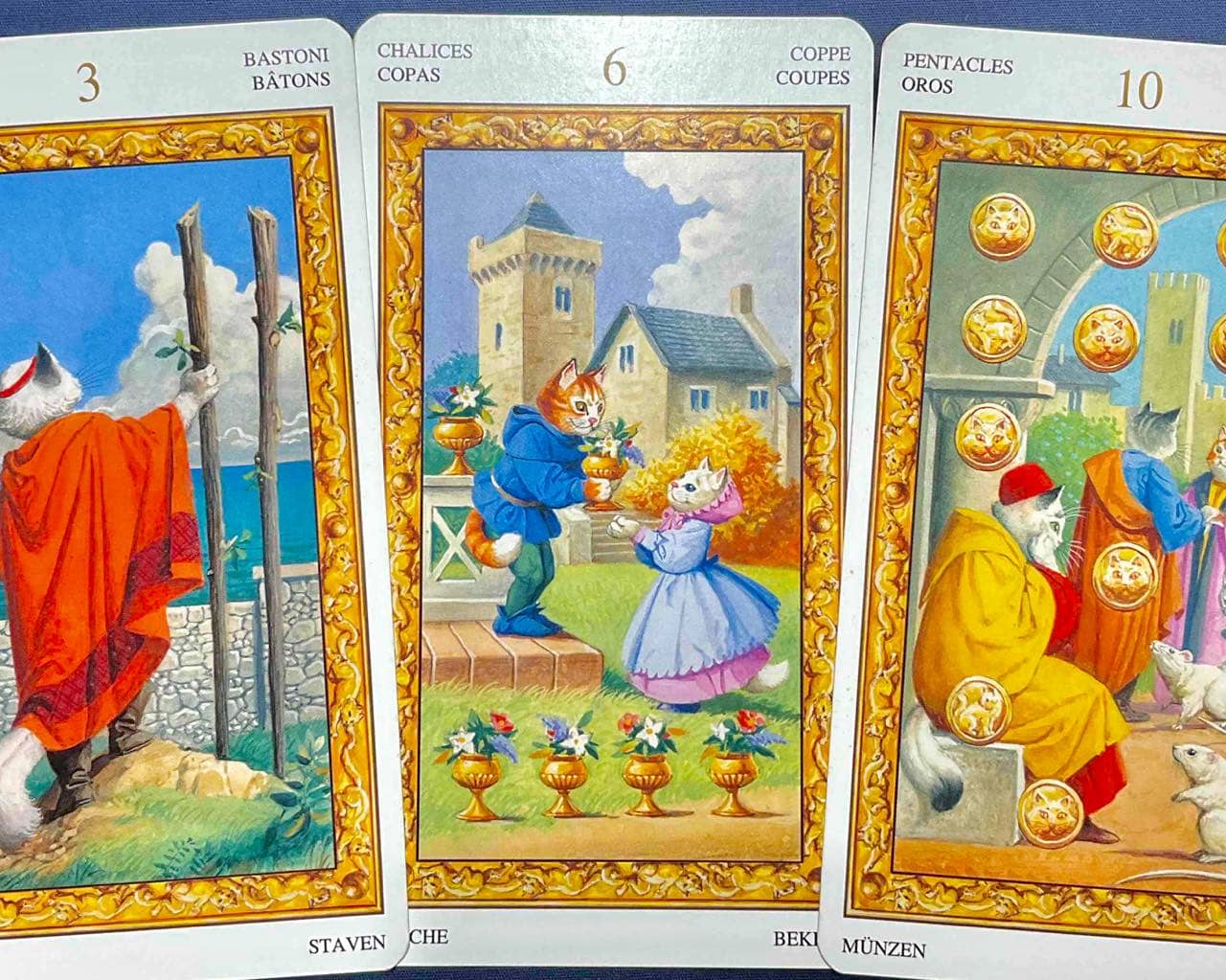 【乙女座】2025年12月22日〜12月28日運勢