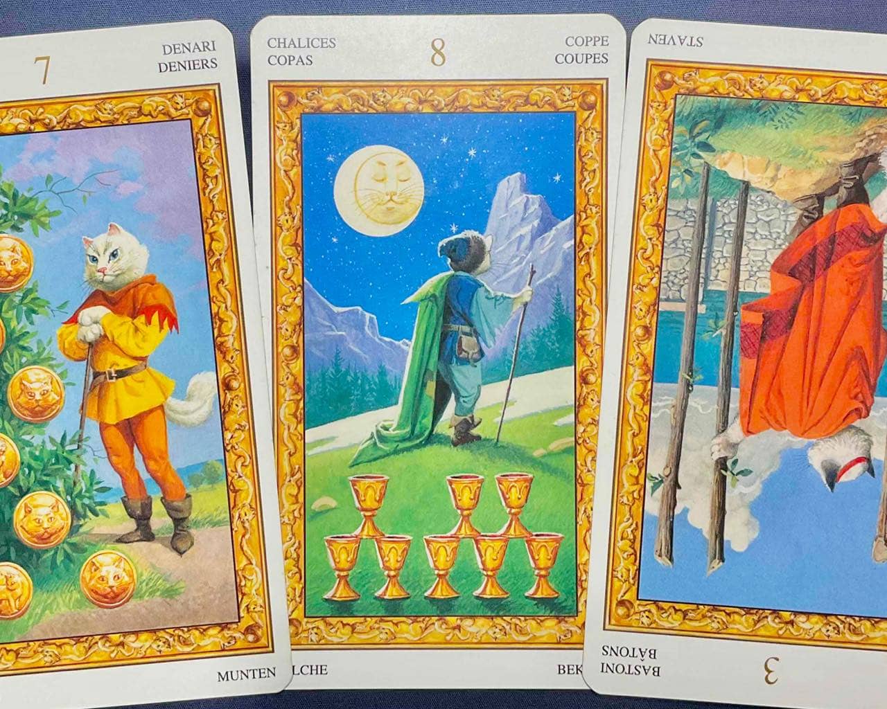 【水瓶座】2025年12月22日〜12月28日運勢