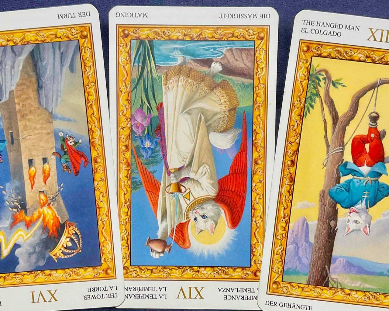 【獅子座】2025年12月15日〜12月21日運勢