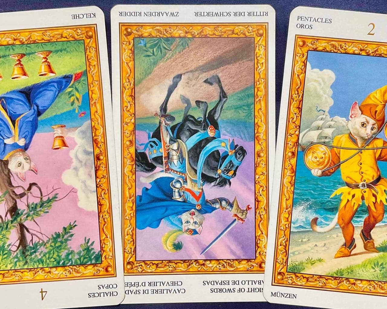 【蟹座】2026年1月26日〜2月1日運勢