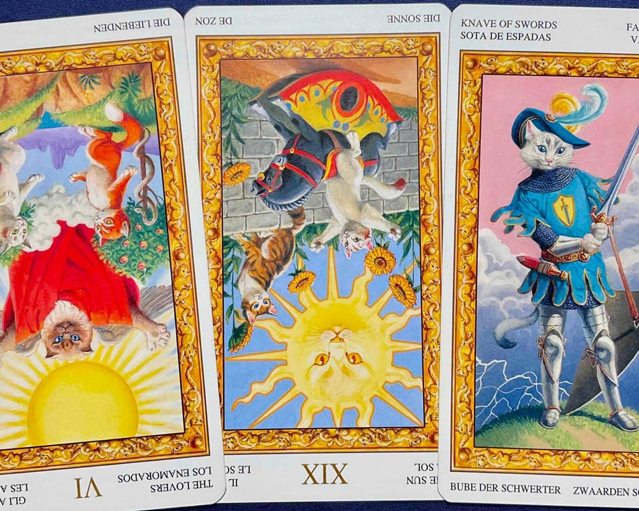 【乙女座】2026年1月19日〜1月25日運勢