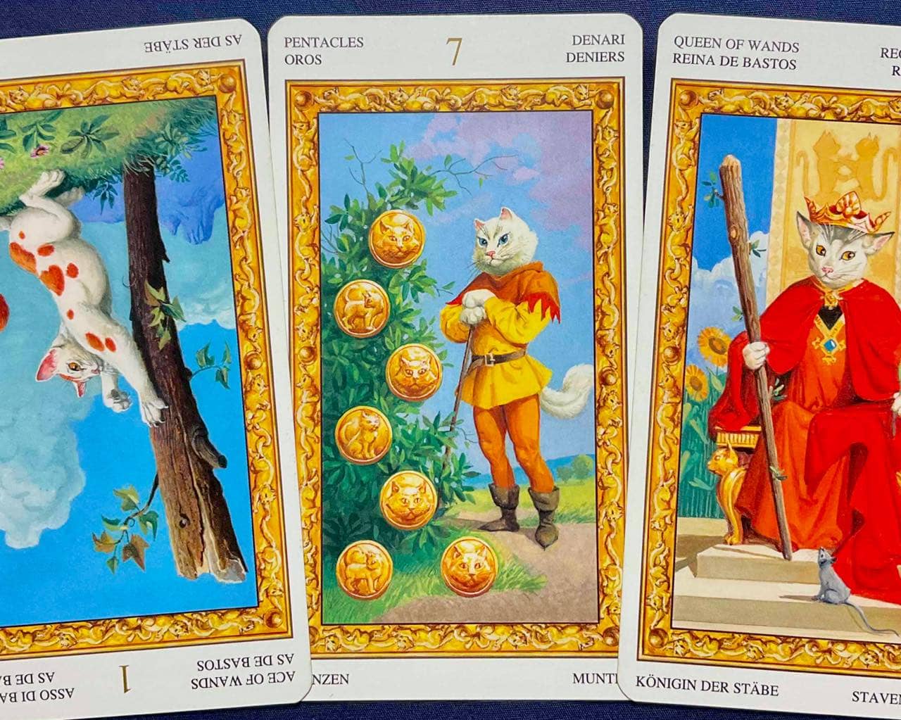 【蟹座】2026年1月19日〜1月25日運勢