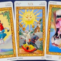 【水瓶座】2026年1月19日〜1月25日運勢