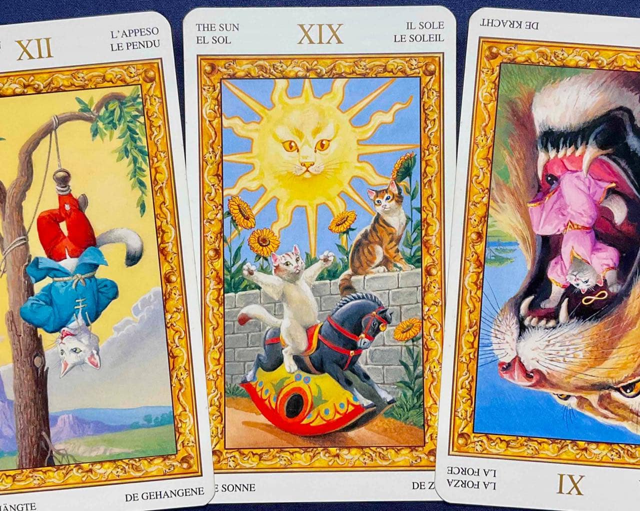 【水瓶座】2026年1月19日〜1月25日運勢