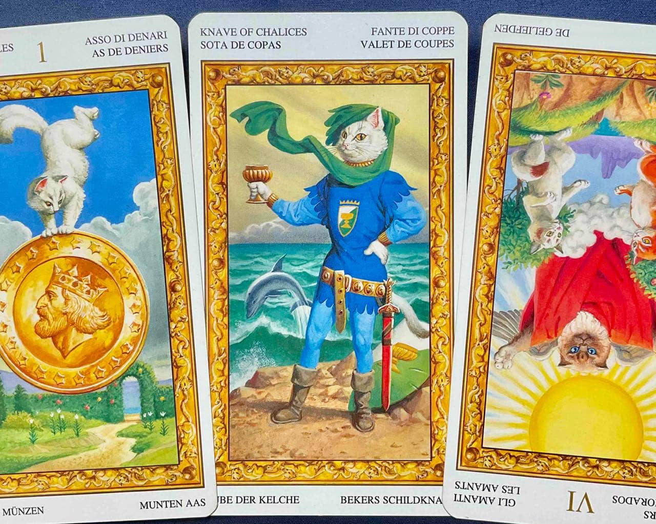 【双子座】2026年2月2日〜2月8日運勢