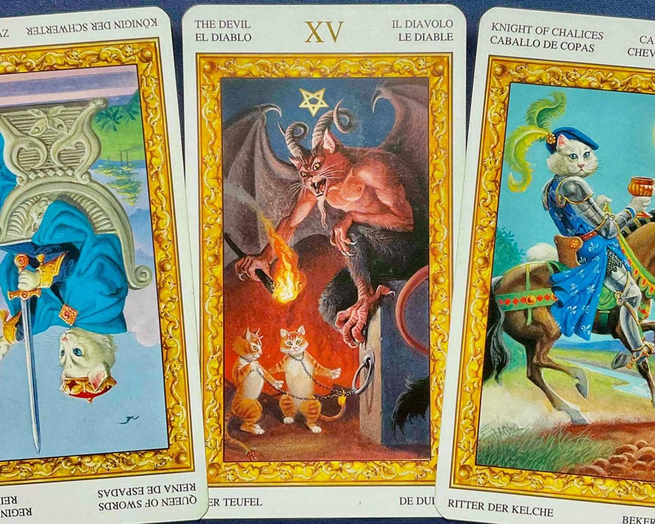 【蠍座】2026年2月9日〜2月15日運勢