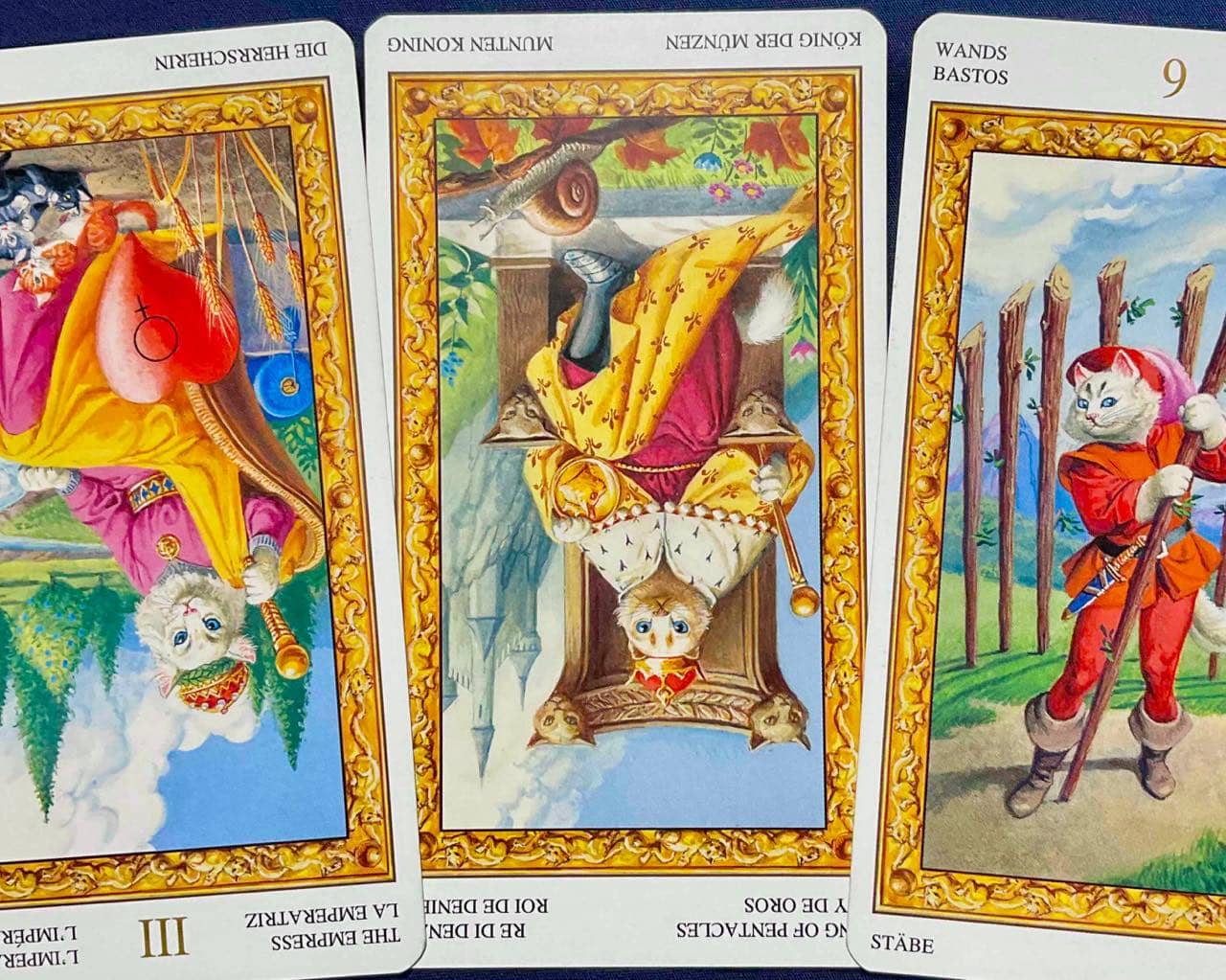 【獅子座】2026年1月19日〜1月25日運勢