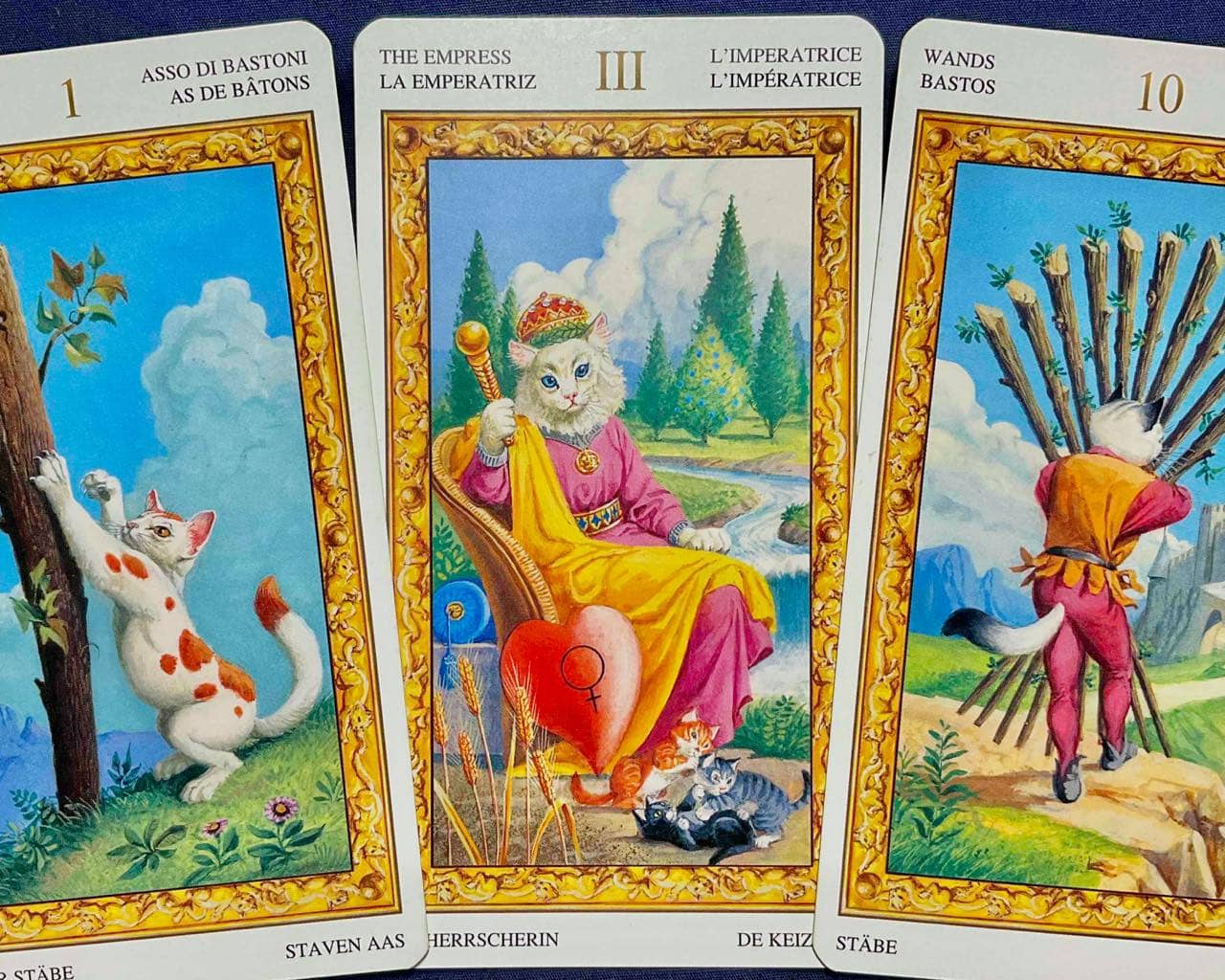 【射手座】2026年1月12日〜1月18日運勢