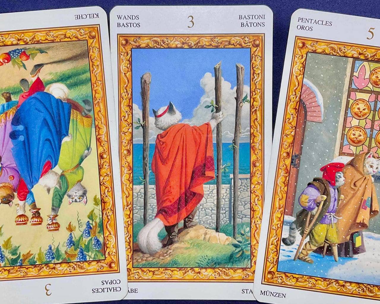 【牡羊座】2026年2月16日〜2月22日運勢