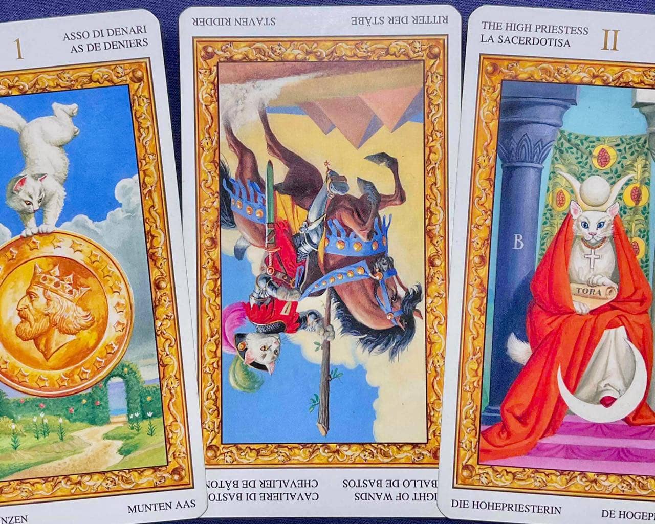 【水瓶座】2026年2月16日〜2月22日運勢