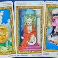 【牡牛座】2026年2月16日〜2月22日運勢