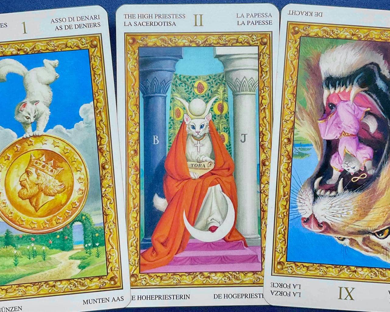 【牡牛座】2026年2月16日〜2月22日運勢