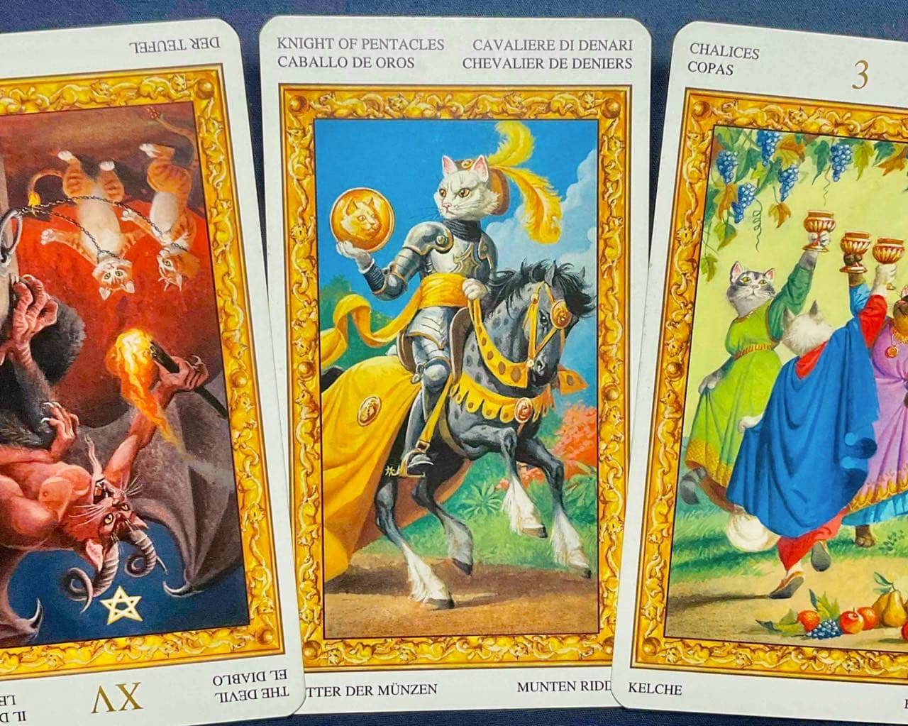 【山羊座】2026年2月23日〜3月1日運勢